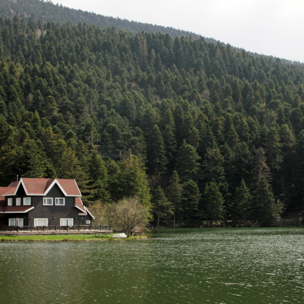 🍂🍀 KONAKLAMALI BATI KARADENİZ TURU🍀 KİŞİ BAŞI : 4900TL